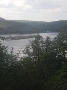 Peisaj natural din apropierea acestei cabane