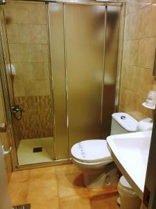 a bathroom with a shower and a toilet and a sink at Hotel Patilla in Santa Pola