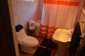 a small bathroom with a toilet and a sink at Hostal y Cabañas Vientos del Sur in Puerto Ingeniero Ibáñez +22 photos