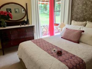 a bedroom with a bed with a dresser and a mirror at Crimson Villa in Katoomba