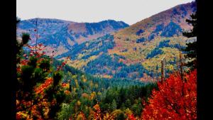a view of a mountain with fall trees on it at Valia Nostra Escape Hotel in Smixi