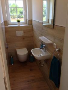 a bathroom with a sink and a toilet and a mirror at Ferienhaus Pusteblume in Garrel