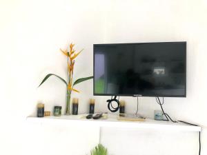 TV a/nebo společenská místnost v ubytování Diamondview