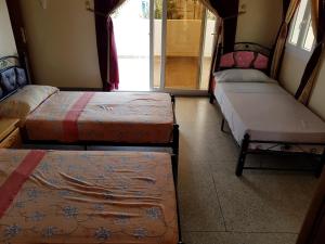 3 Betten in einem Zimmer mit Fenster in der Unterkunft Hotel Canarias Sahara in Tan-Tan Plage