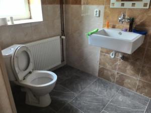 łazienka z toaletą i umywalką w obiekcie Kanada Inn u Klínovce w mieście Vejprty +14 zdjęć