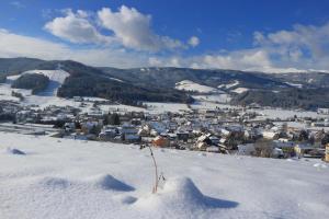 Apartments Obdach during the winter
