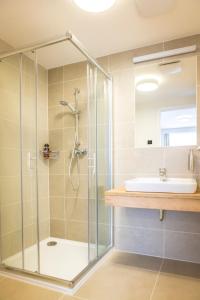 W łazience znajduje się prysznic i umywalka. w obiekcie Hotel Monínec - Depandance Nová Javorka w mieście Moninec
