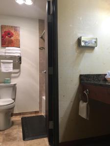 Vannituba majutusasutuses Acorn Motor Inn