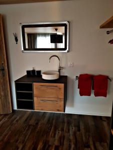 a bathroom with a sink and a mirror at Churchstreet appartements in Meiringen