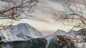a snow covered mountain with trees in the foreground w obiekcie Góralska Idylla w Zakopanem