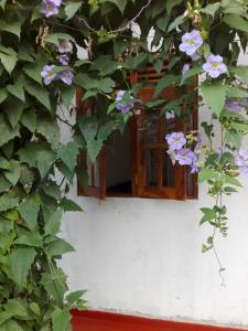 Zahrada ubytování Ananda Home Stay and Restaurant