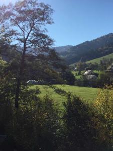 ein großes grünes Feld mit einem Baum im Vordergrund in der Unterkunft Ferienwohnung am Bannwald 1 in Freiburg im Breisgau