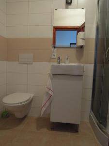 Koupelna v ubytování Apartment Vlčice u Trutnova