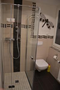 ein Bad mit einer Dusche und einem WC in der Unterkunft Ferienwohnung am Bannwald 1 in Freiburg im Breisgau