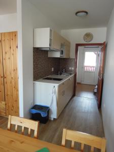 Kuchyň nebo kuchyňský kout v ubytování Apartment Vlčice u Trutnova