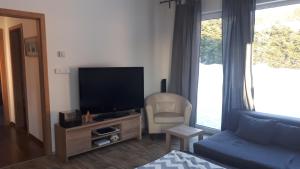 TV a/nebo společenská místnost v ubytování Pod Sedlem + 21 fotografií