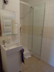 Vannituba majutusasutuses Apartment Vlčice u Trutnova