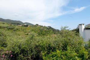 a view of a hill with a house and trees at Villa Caribe affittacamere in Monterosso al Mare