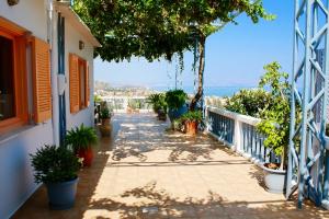 Fotografia z galérie ubytovania Villa Theodosia v destinácii Agia Marina Nea Kydonias