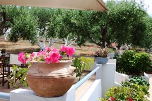 Fotografia z galérie ubytovania Villa Theodosia v destinácii Agia Marina Nea Kydonias