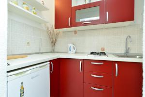 Kuchyň nebo kuchyňský kout v ubytování Apartments Ilija 1363