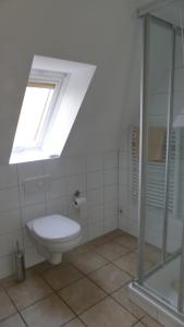 a bathroom with a toilet and a skylight at Lindenhof Gästehaus & Hofcafe in Kranenburg