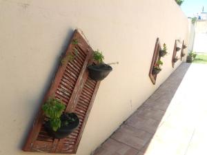 ein Fenster mit Topfpflanzen an der Seite eines Gebäudes in der Unterkunft Pousada dos Ventos in Penha