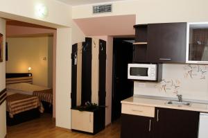 Kuchyň nebo kuchyňský kout v ubytování Hotel Zimbru