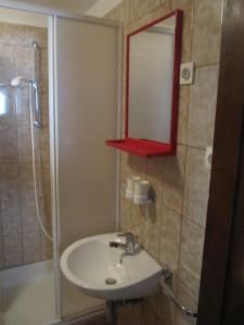 a bathroom with a sink and a shower and a mirror at Fran in Crikvenica +13 photos
