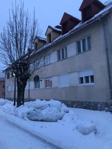 a snow covered building with a tree in front of it at Vujisić Apartment in the City Center in Kolašin