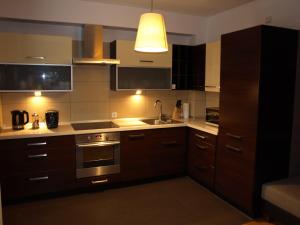 a kitchen with brown cabinets and a sink and a light at Apartament przy parku in Wrocław