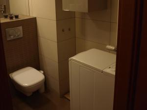 Bilik mandi di Apartament przy parku