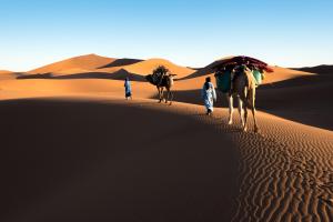 Clients de Bivouac Mélodie du désert