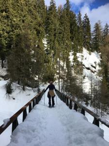 Το Chalet Ariane τον χειμώνα