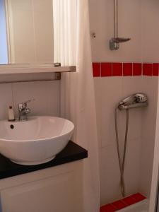 a bathroom with a sink and a shower curtain at Gite d'artiste 50m de la mer in Camaret-sur-Mer +21 photos