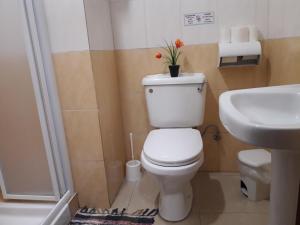 a bathroom with a toilet and a sink at Marina's Rooms in Larnaca