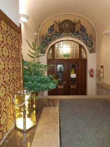 a lobby with a plant on a table in front of a door at Józefina Apartament's z mini SPA in Szklarska Poręba