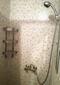a shower in a bathroom with two shelves on the wall at Budapest Center Apartment Z9 in Budapest