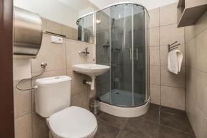 a bathroom with a toilet and a sink and a shower at Apartmány Přemyslova in Hradec Králové