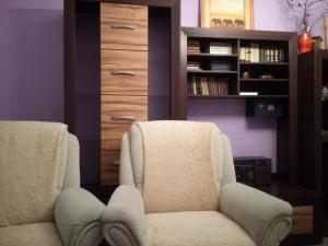 a living room with two chairs and a book shelf at Apartments České Středohoří in Teplice