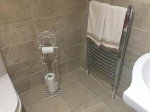 La salle de bains est pourvue d'une douche avec un rouleau de papier toilette. dans l'établissement The Crossroads B&B, à New Ross