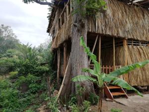 a hut with a palm tree in front of it at El Bamboo Cabins in Balgue