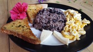 Comida en el hostal o alrededores