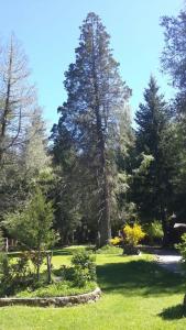 un parque con árboles, césped verde y un campo en Cabañas Las Maras en Villa La Angostura