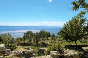 Paesaggio naturale nelle vicinanze dell'affittacamere