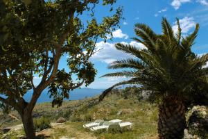 Paesaggio naturale nelle vicinanze dell'affittacamere
