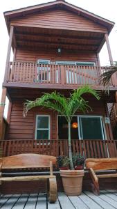 een houten huis met een veranda en een palmboom bij Hotelito Villas Holbox in Holbox Island