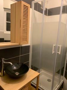 een badkamer met een wastafel en een douche bij 020 CHIC & COSY GRAND APPART 57m2 HYPERCENTRE WIFI SMART TV NETFLIX in Saint-Étienne