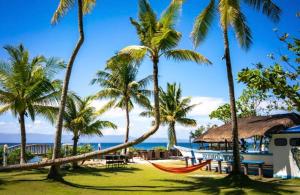 een groep palmbomen en een hangmat op een strand bij Polaris Beach and Dive Resort Inc in Loon
