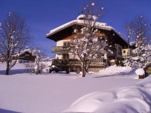 una casa cubierta de nieve con árboles delante en Ferienhaus Hirterhütte en Abtenau
